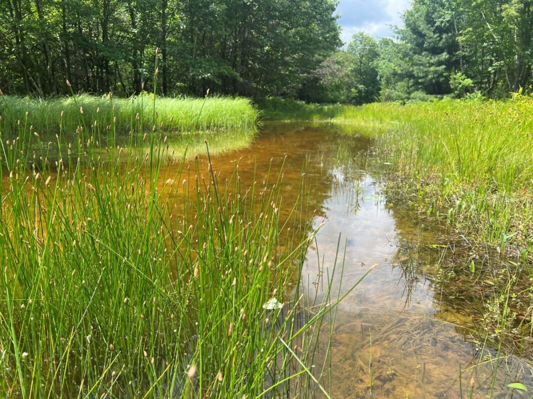 0 Old Highway 54, Pittsville WI 54466 - Land house for sale - MLS #1602495 - image8