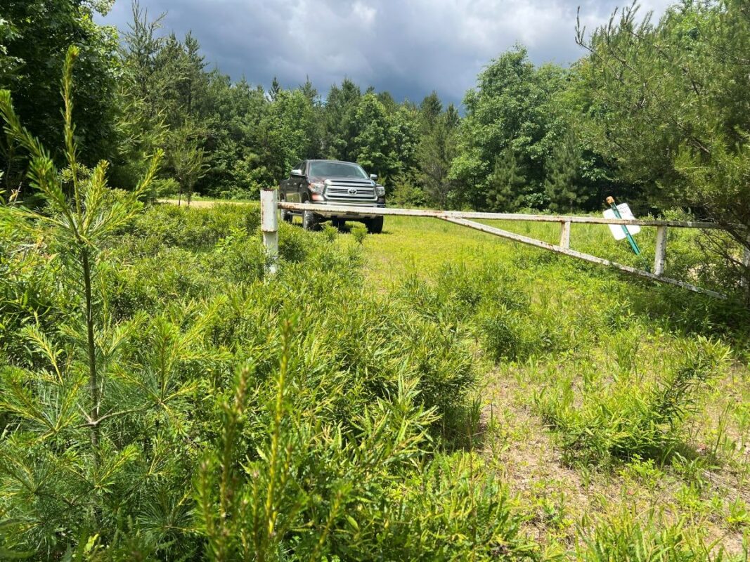 0 Old Highway 54, Pittsville WI 54466 - Land house for sale - MLS #1602495 - image9