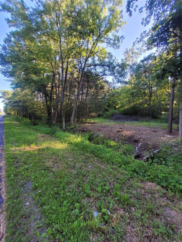 0 Old Highway12 Lot 6, Merrillan WI 54754 - Land house for sale - MLS #1602219 - image2