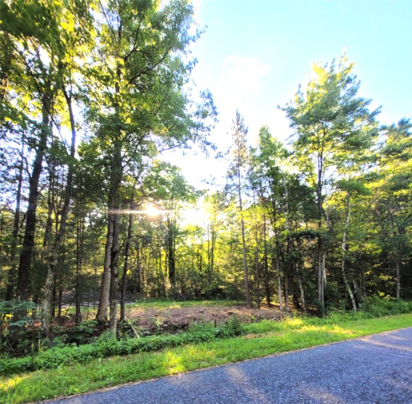 0 Old Highway12 Lot 6, Merrillan WI 54754 - Land house for sale - MLS #1602219 - image3