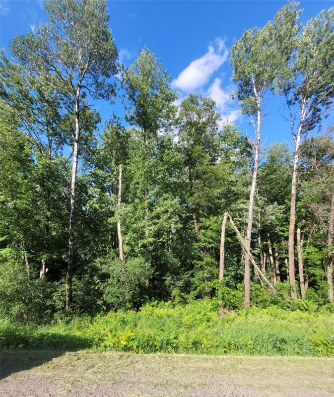 0 Old Highway12 Lot 6, Merrillan WI 54754 - Land house for sale - MLS #1602219 - image5