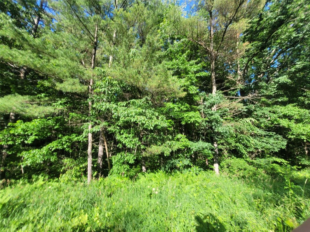 0 Old Highway12 Lot 6, Merrillan WI 54754 - Land house for sale - MLS #1602219 - image6