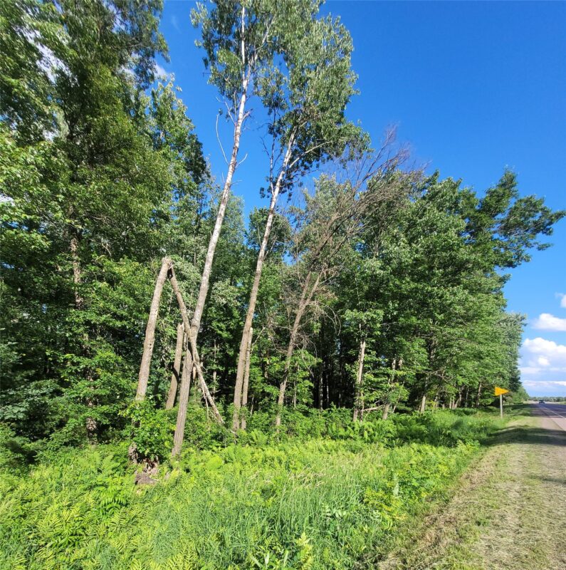 0 Old Highway12 Lot 6, Merrillan WI 54754 - Land house for sale - MLS #1602219 - image7