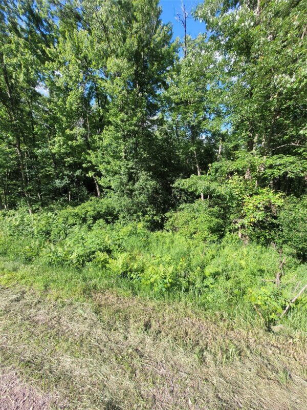 0 Old Highway12 Lot 6, Merrillan WI 54754 - Land house for sale - MLS #1602219 - image8