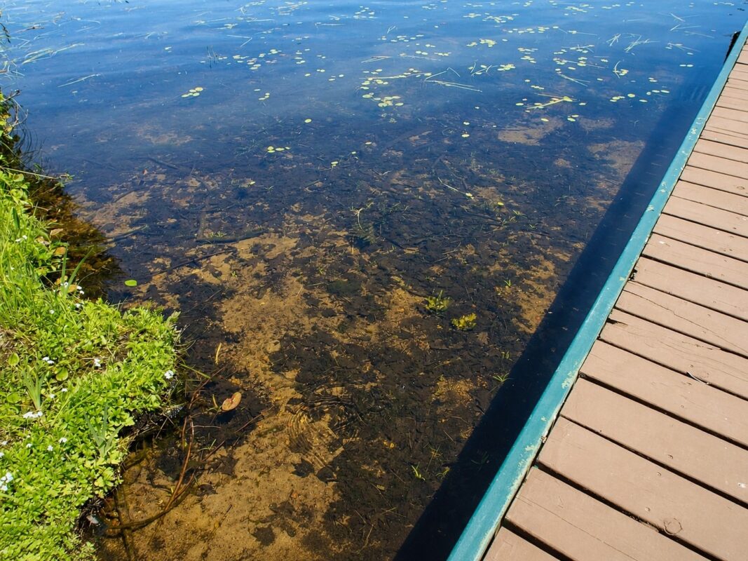0 Ranch Road, Stone Lake WI 54876 - Land house for sale - MLS #1600353 - image11