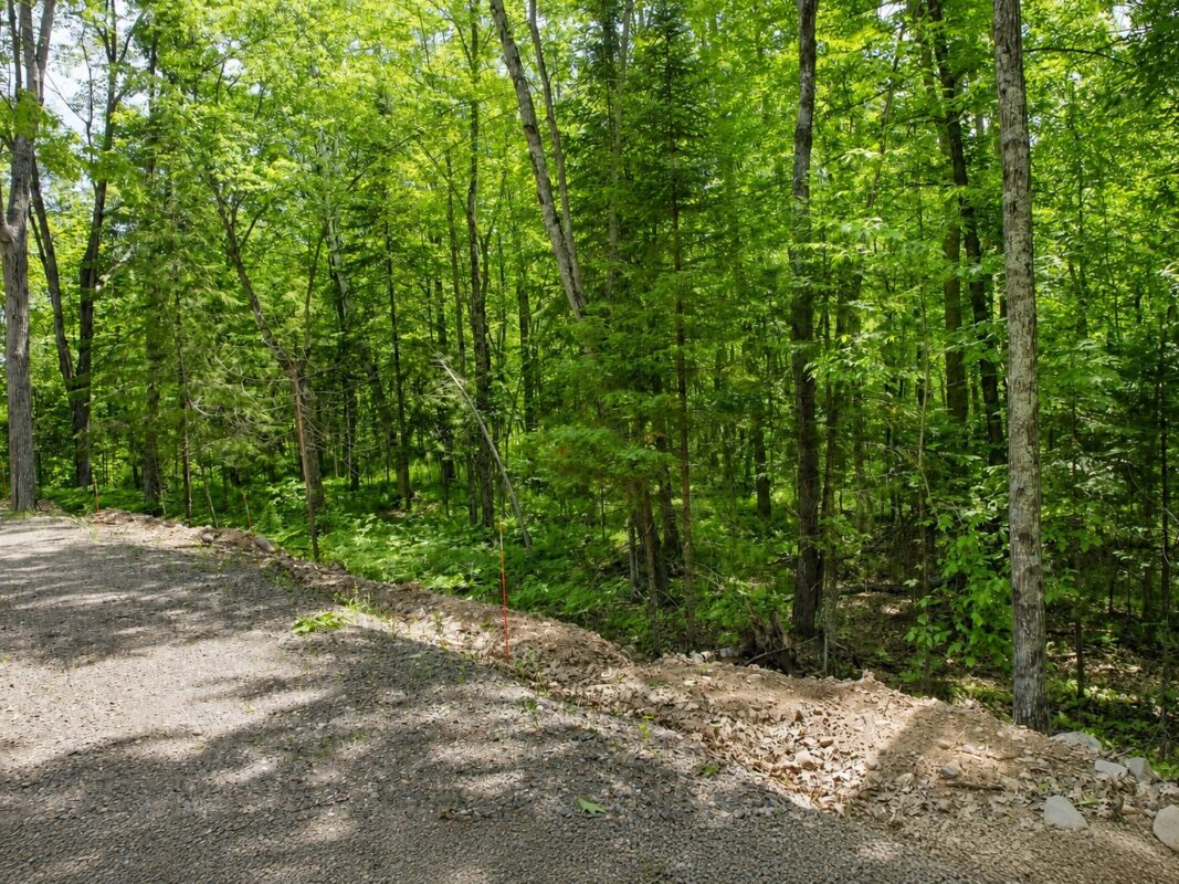 0 Ranch Road, Stone Lake WI 54876 - Land house for sale - MLS #1600353 - image13