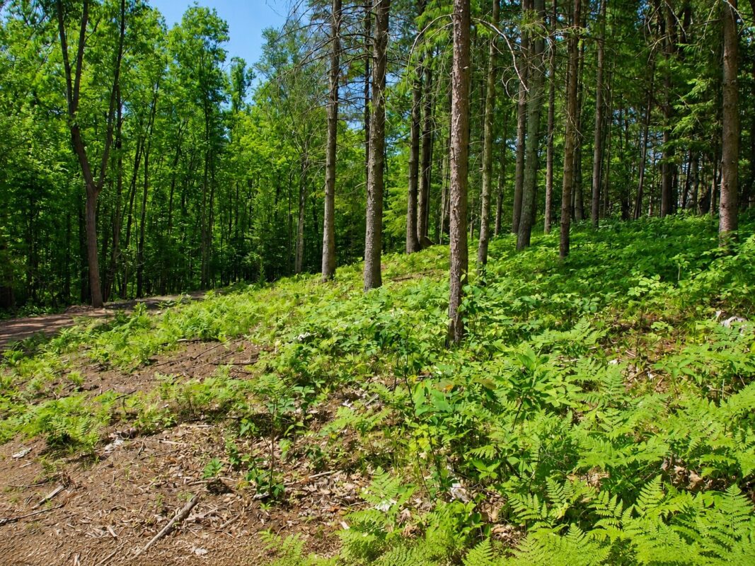 0 Ranch Road, Stone Lake WI 54876 - Land house for sale - MLS #1600353 - image16
