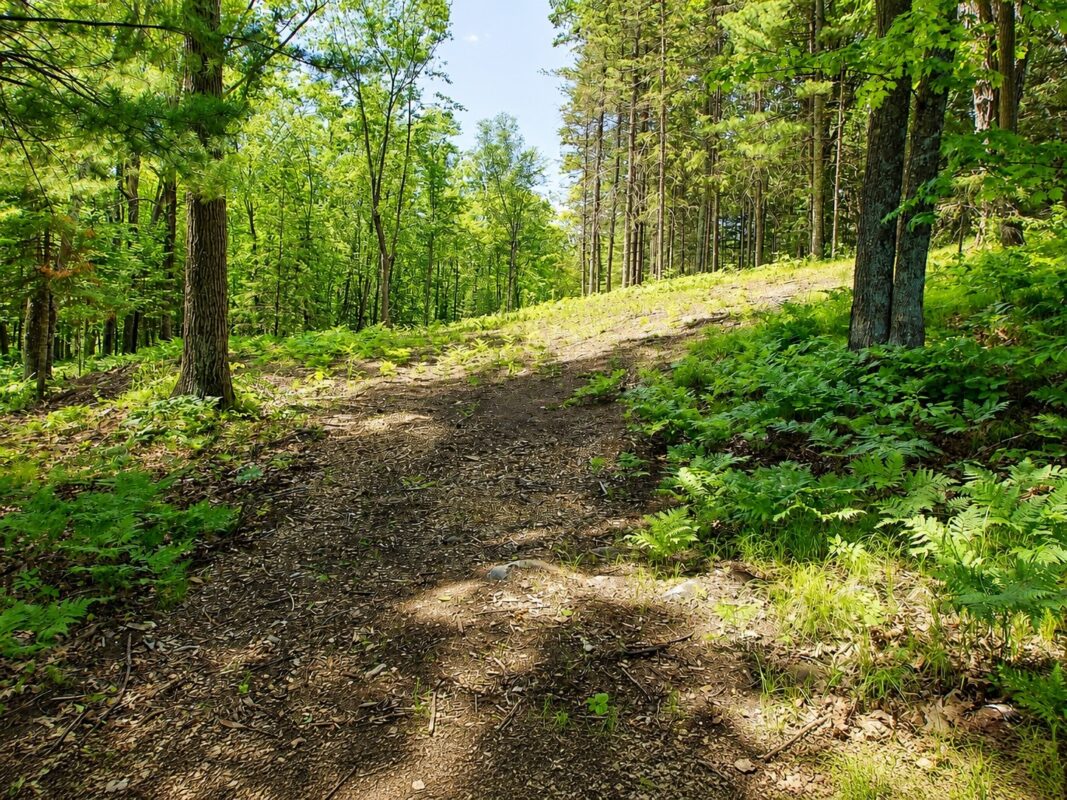 0 Ranch Road, Stone Lake WI 54876 - Land house for sale - MLS #1600353 - image4