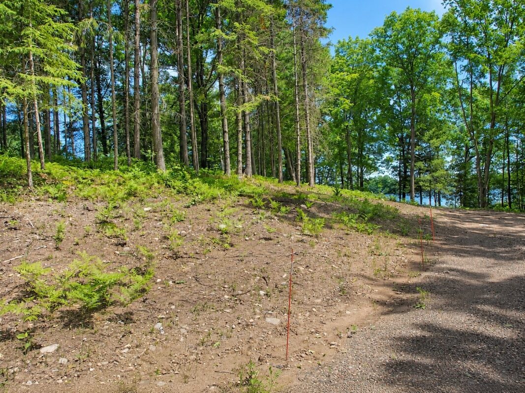 0 Ranch Road, Stone Lake WI 54876 - Land house for sale - MLS #1600353 - image6