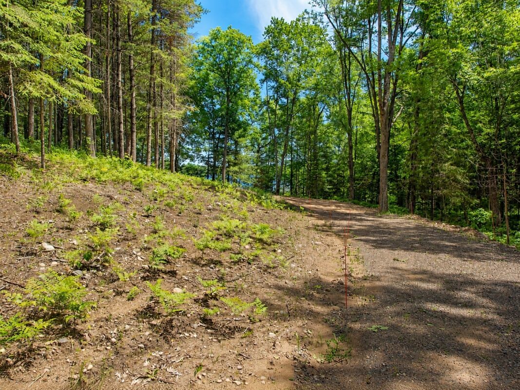 0 Ranch Road, Stone Lake WI 54876 - Land house for sale - MLS #1600353 - image7