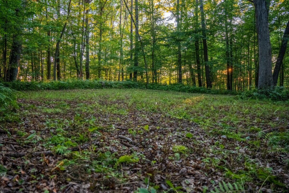00 26 1/2 Avenue, Cumberland WI 54829 - Land house for sale - MLS #1603398 - image25