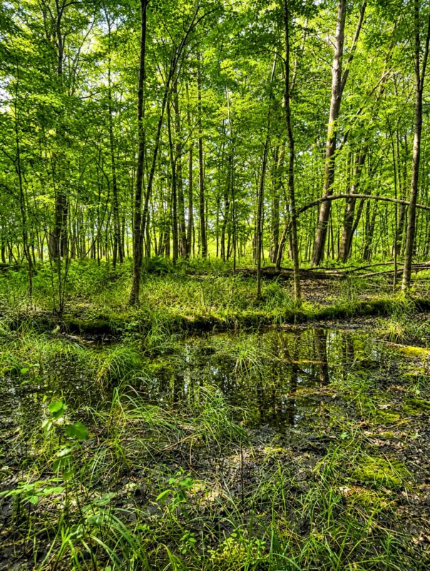 00 26 1/2 Avenue, Cumberland WI 54829 - Land house for sale - MLS #1603398 - image32
