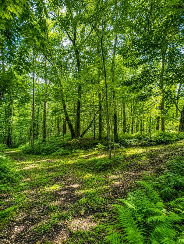 00 26 1/2 Avenue, Cumberland WI 54829 - Land house for sale - MLS #1603398 - image33