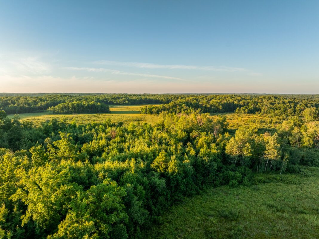 00 26 1/2 Avenue, Cumberland WI 54829 - Land house for sale - MLS #1603398 - image5