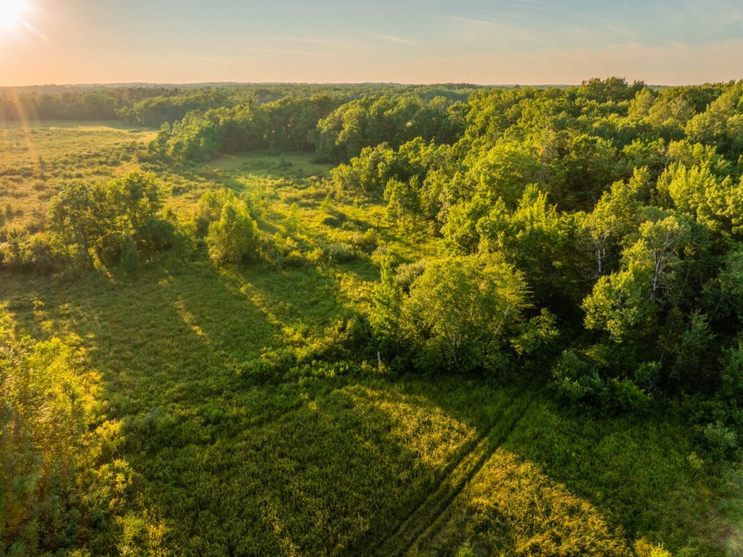 00 26 1/2 Avenue, Cumberland WI 54829 - Land house for sale - MLS #1603398 - image10