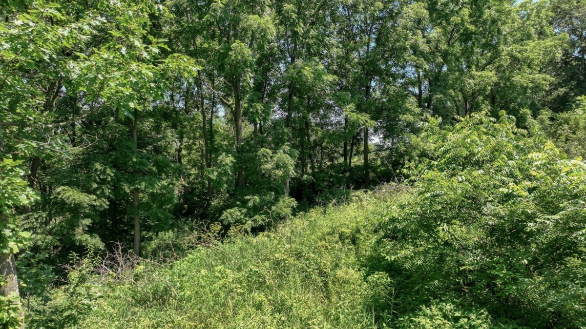 00 Garves Coulee Road, Bangor WI 54614 - Land house for sale - MLS #1603270 - image11
