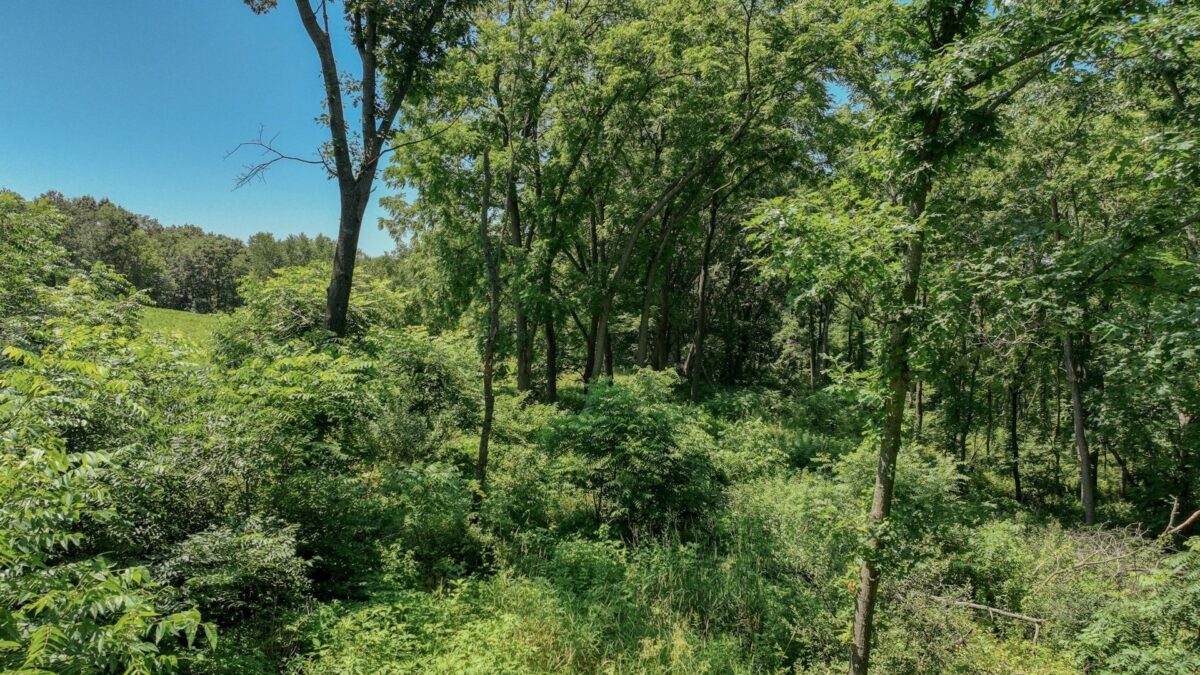 00 Garves Coulee Road, Bangor WI 54614 - Land house for sale - MLS #1603270 - image14