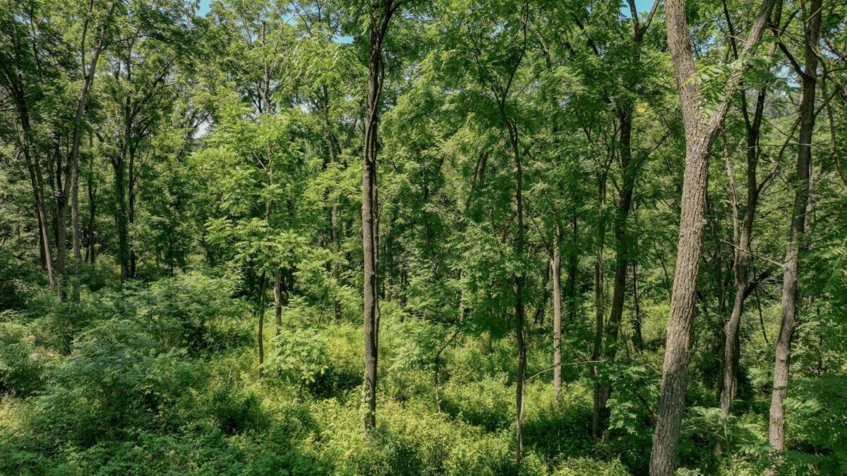 00 Garves Coulee Road, Bangor WI 54614 - Land house for sale - MLS #1603270 - image16