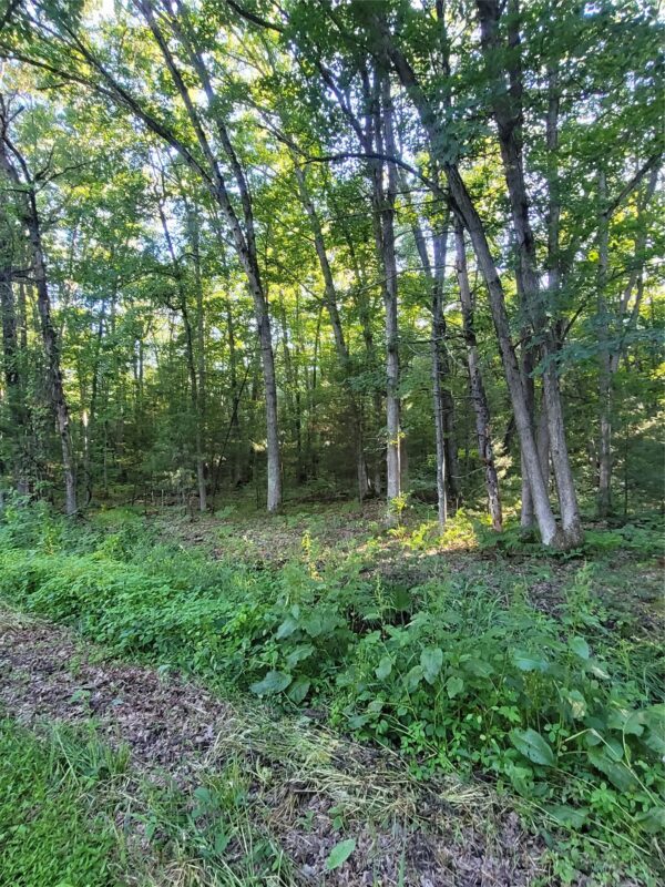 00 Old Hwy 12 Lot 5, Merrillan WI 54754 - Land house for sale - MLS #1602922 - image3