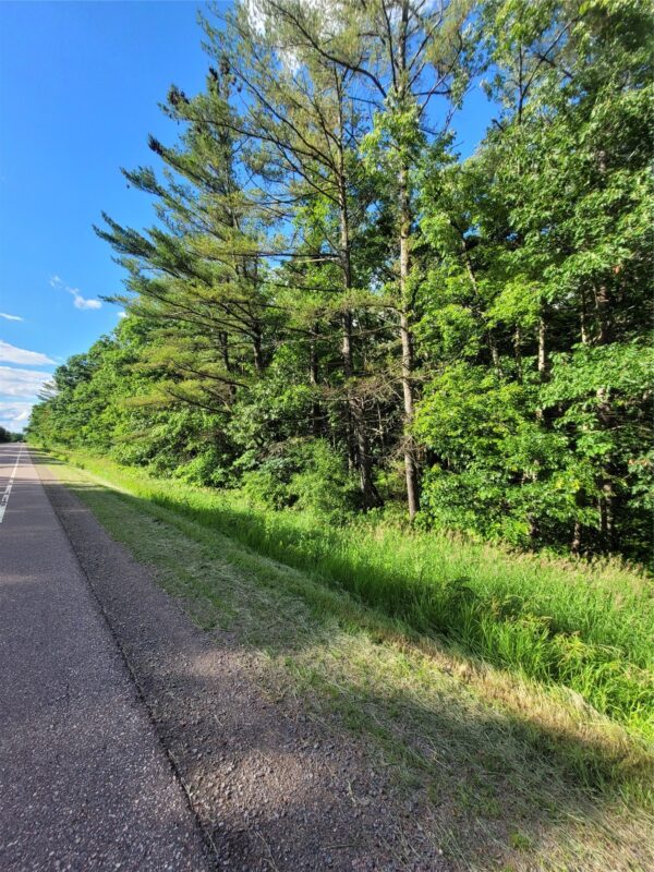 00 Old Hwy 12 Lot 5, Merrillan WI 54754 - Land house for sale - MLS #1602922 - image6