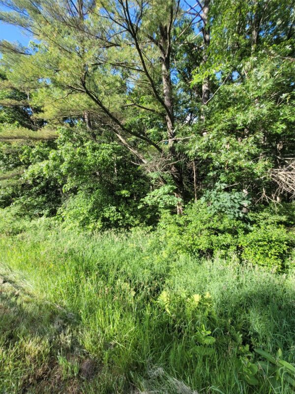 00 Old Hwy 12 Lot 5, Merrillan WI 54754 - Land house for sale - MLS #1602922 - image7