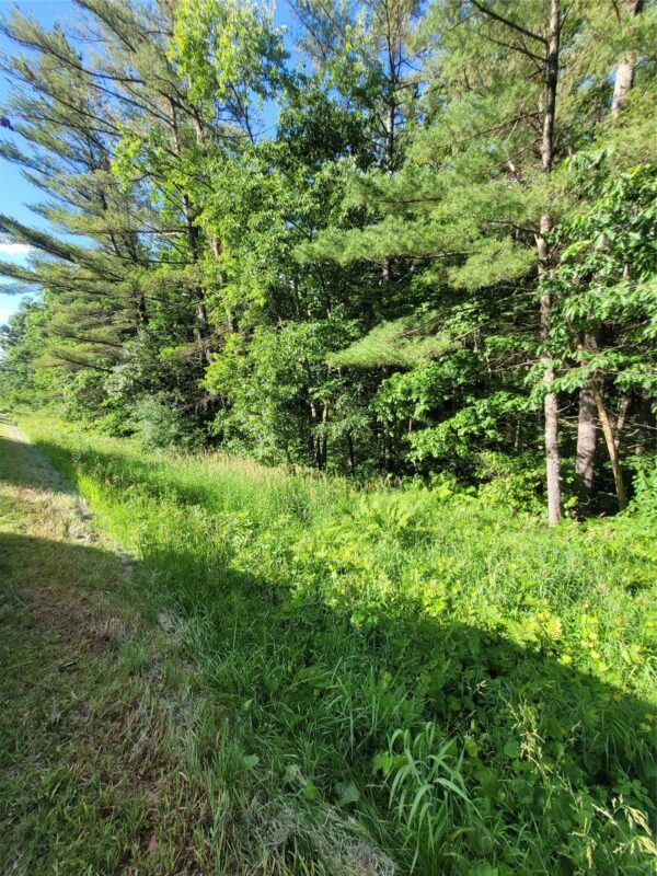 00 Old Hwy 12 Lot 5, Merrillan WI 54754 - Land house for sale - MLS #1602922 - image8