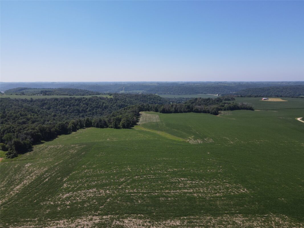 000 170th Avenue, Plum City WI 54761 - Land house for sale - MLS #1603222 - image2