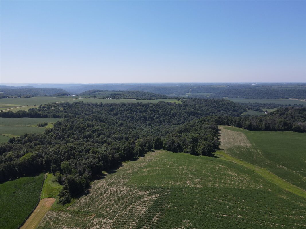 000 170th Avenue, Plum City WI 54761 - Land house for sale - MLS #1603222 - image3