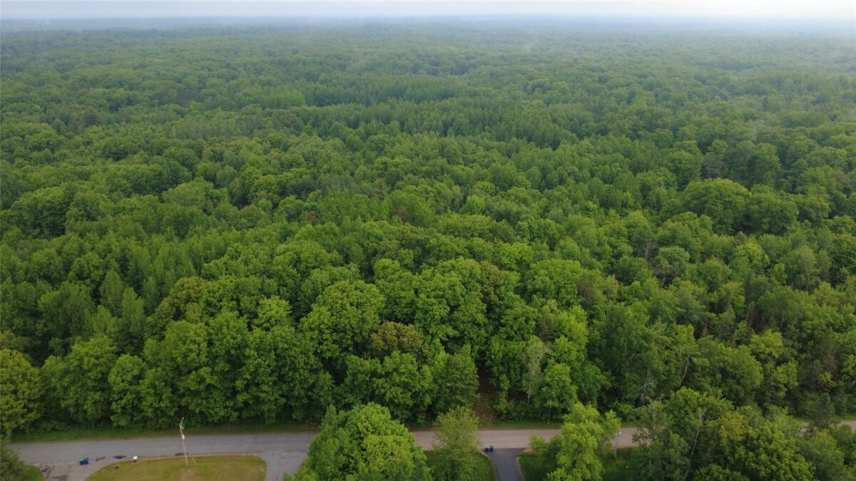 000 Boundary Road, Ringle WI 54471 - Land house for sale - MLS #1602183 - image14