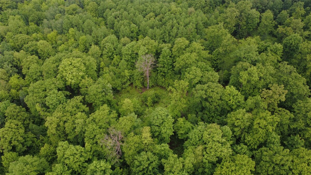 000 Boundary Road, Ringle WI 54471 - Land house for sale - MLS #1602183 - image16
