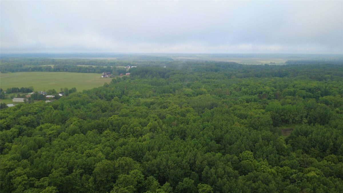 000 Boundary Road, Ringle WI 54471 - Land house for sale - MLS #1602183 - image17