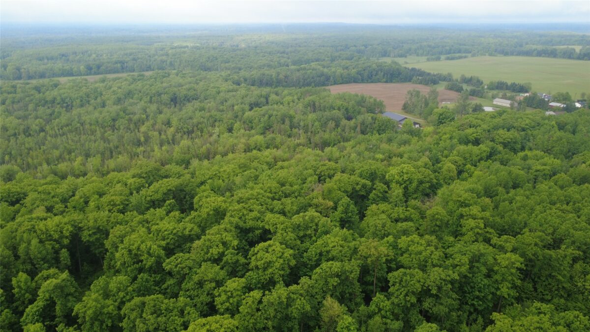 000 Boundary Road, Ringle WI 54471 - Land house for sale - MLS #1602183 - image18