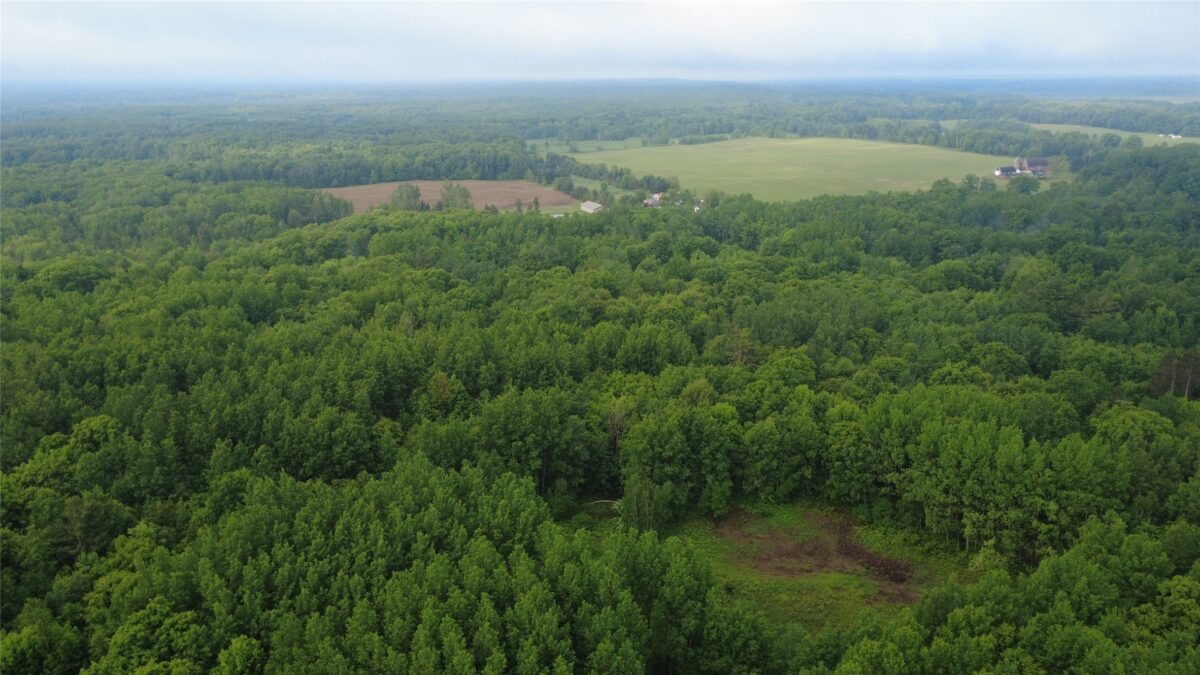 000 Boundary Road, Ringle WI 54471 - Land house for sale - MLS #1602183 - image20