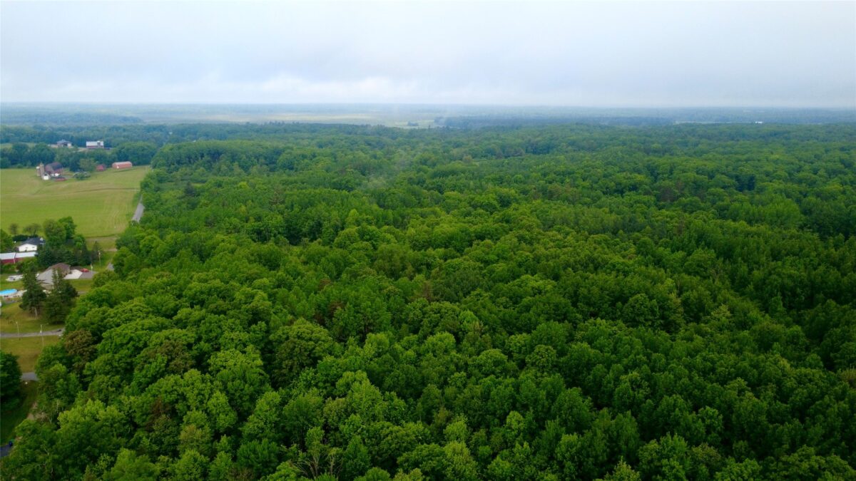 000 Boundary Road, Ringle WI 54471 - Land house for sale - MLS #1602183 - image3