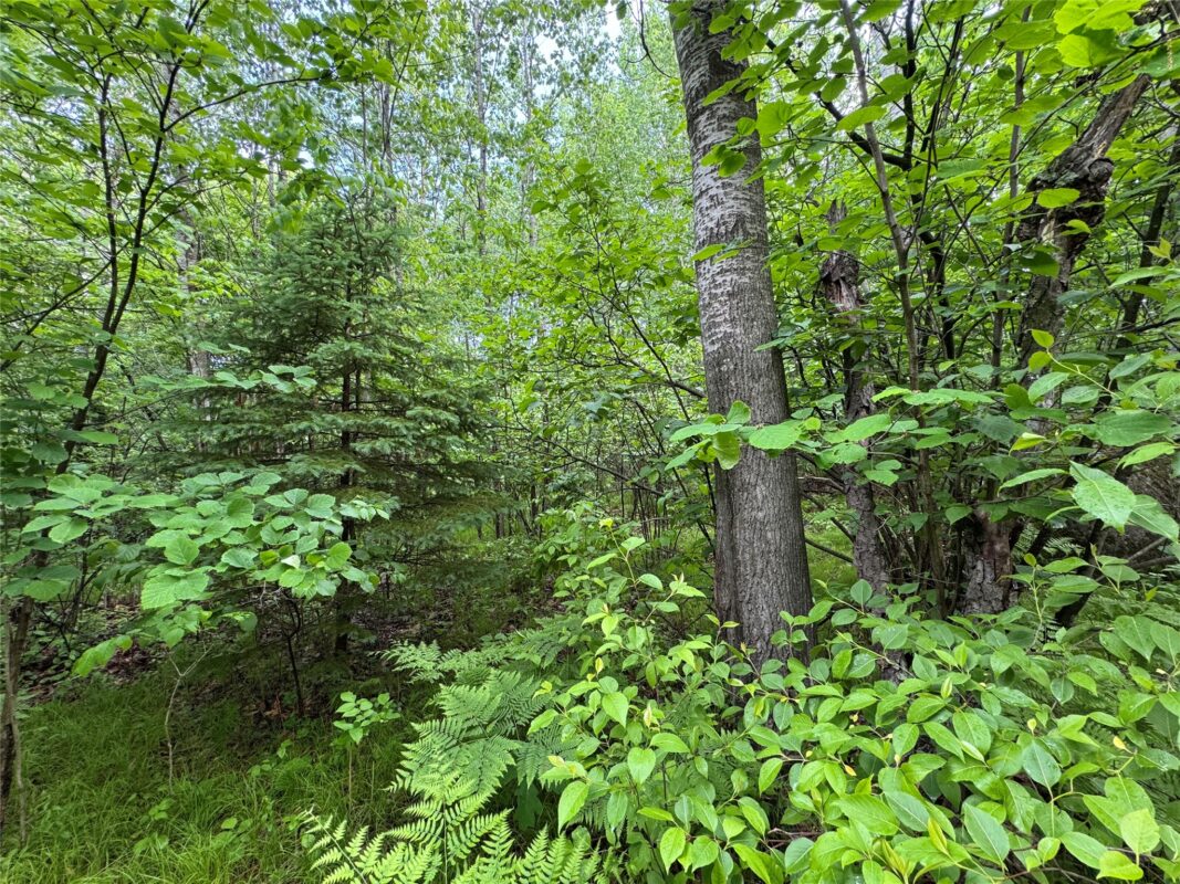 000 Boundary Road, Ringle WI 54471 - Land house for sale - MLS #1602183 - image10