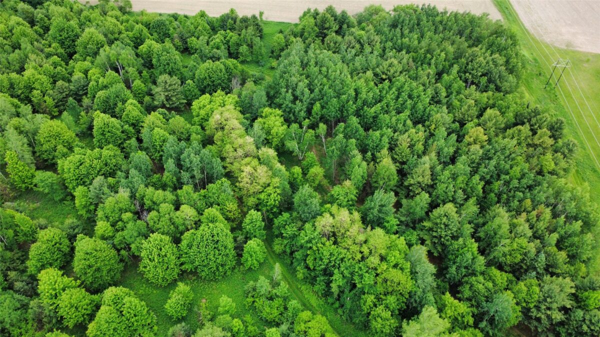 000 County Highway K, Wausau WI 54401 - Land house for sale - MLS #1602082 - image17