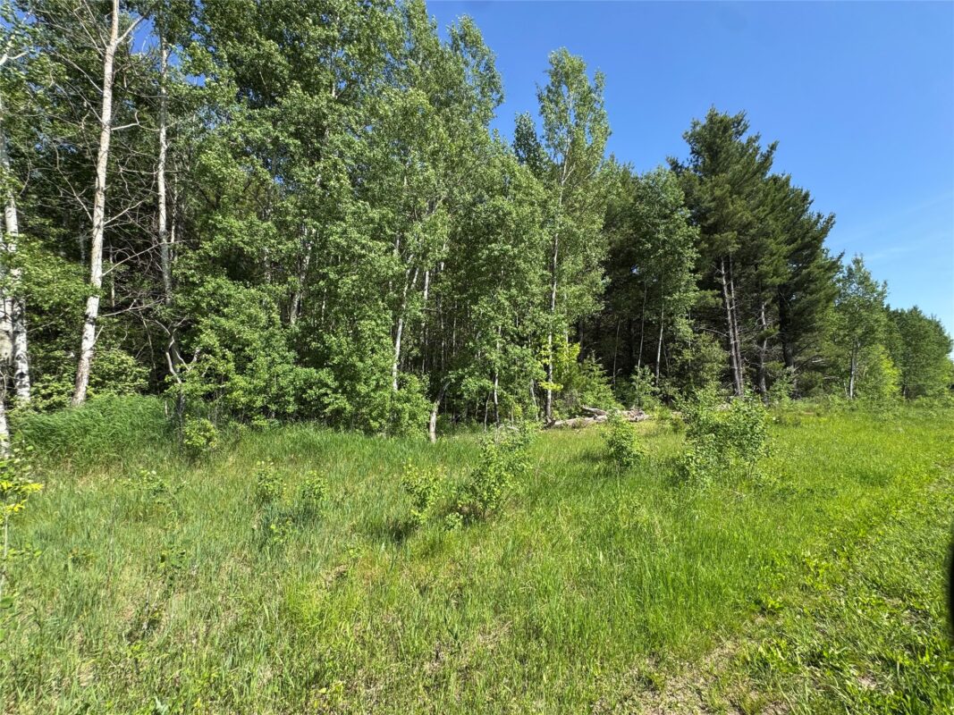 000 County Highway K, Wausau WI 54401 - Land house for sale - MLS #1602082 - image20