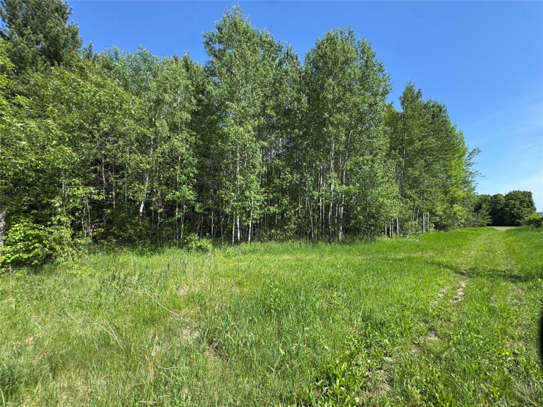 000 County Highway K, Wausau WI 54401 - Land house for sale - MLS #1602082 - image21