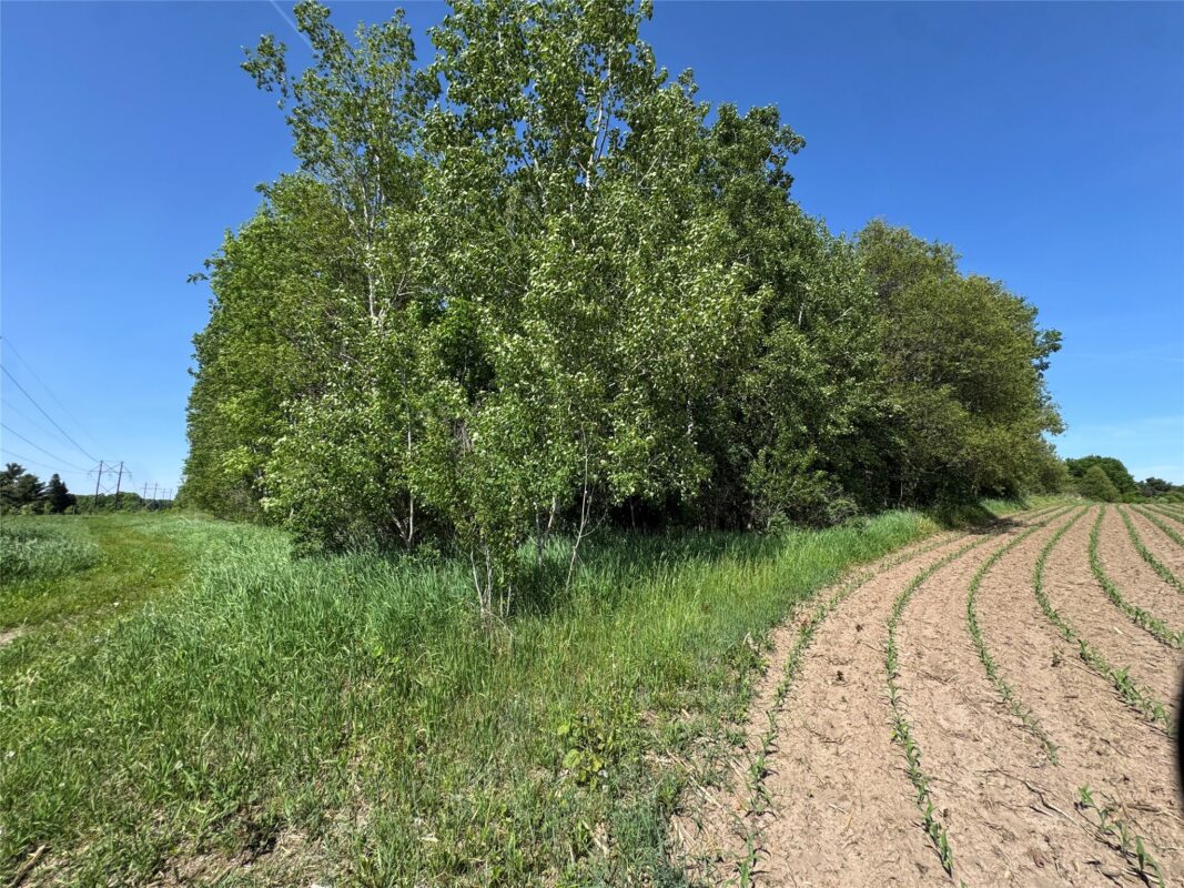 000 County Highway K, Wausau WI 54401 - Land house for sale - MLS #1602082 - image22