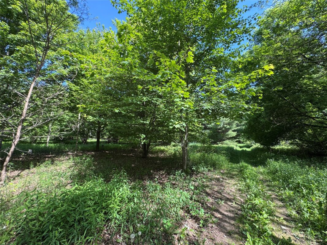000 County Highway K, Wausau WI 54401 - Land house for sale - MLS #1602082 - image23