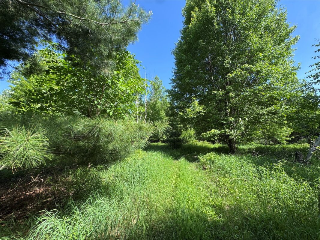 000 County Highway K, Wausau WI 54401 - Land house for sale - MLS #1602082 - image24