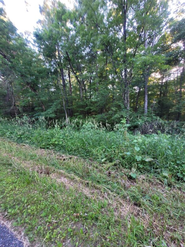 000 US Highway 12 Lot 4, Merrillan WI 54754 - Land house for sale - MLS #1603355 - image2