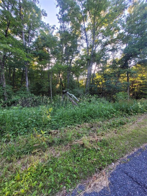 000 US Highway 12 Lot 4, Merrillan WI 54754 - Land house for sale - MLS #1603355 - image3