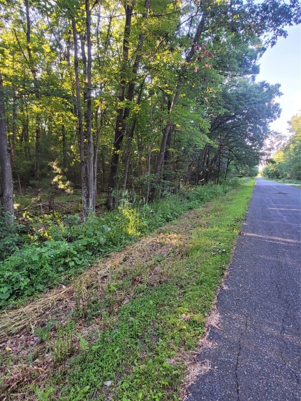 000 US Highway 12 Lot 4, Merrillan WI 54754 - Land house for sale - MLS #1603355 - image4
