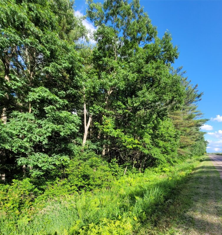 000 US Highway 12 Lot 4, Merrillan WI 54754 - Land house for sale - MLS #1603355 - image5