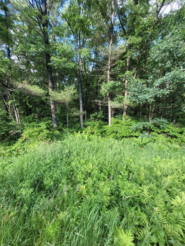 000 US Highway 12 Lot 4, Merrillan WI 54754 - Land house for sale - MLS #1603355 - image6