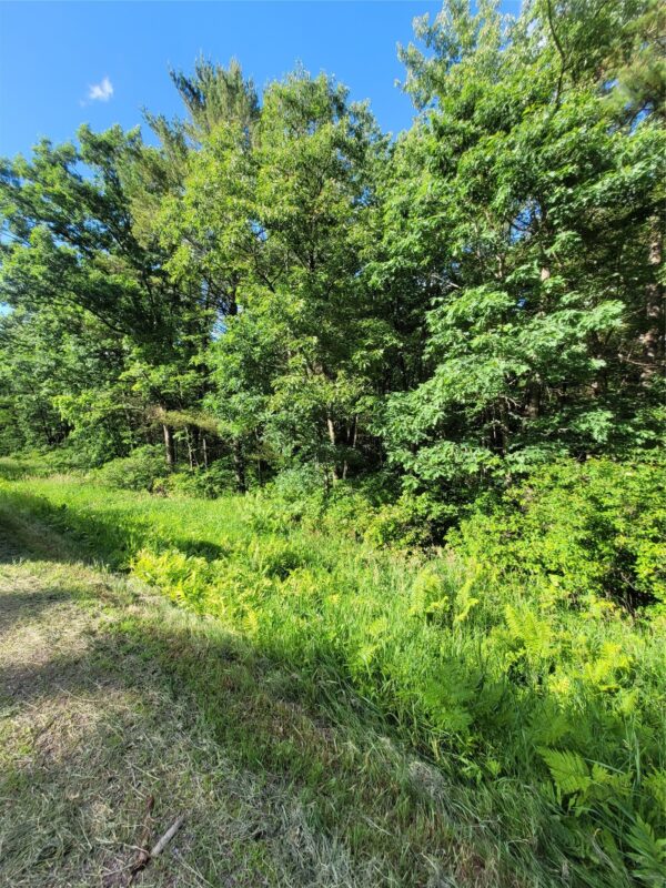 000 US Highway 12 Lot 4, Merrillan WI 54754 - Land house for sale - MLS #1603355 - image7