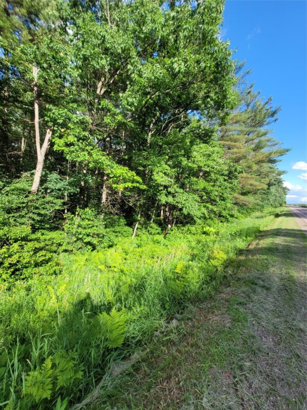 000 US Highway 12 Lot 4, Merrillan WI 54754 - Land house for sale - MLS #1603355 - image8
