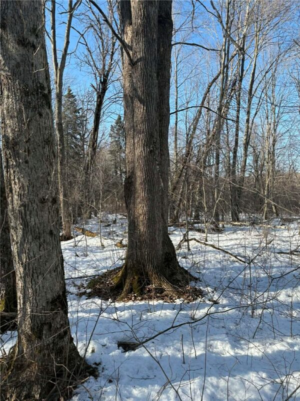 0000 Winter Road, Ladysmith WI 54848 - Land house for sale - MLS #1599005 - image2