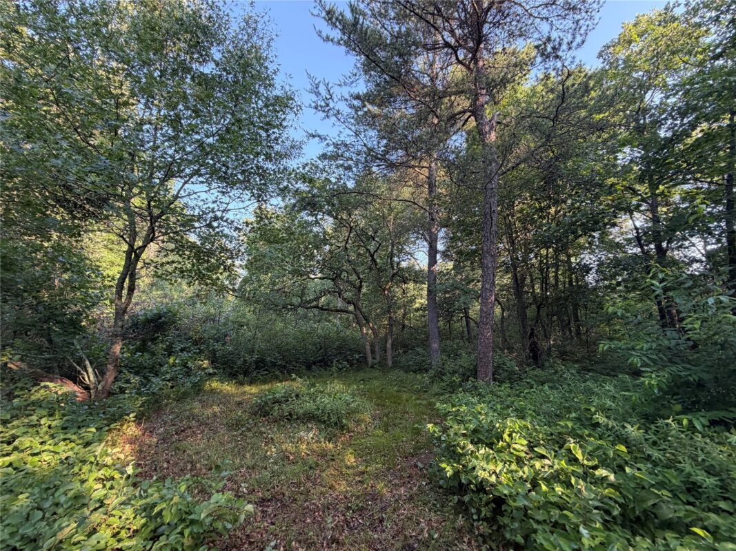 00000 Volkmann Lane, Grantsburg WI 54840 - Land house for sale - MLS #1603383 - image2